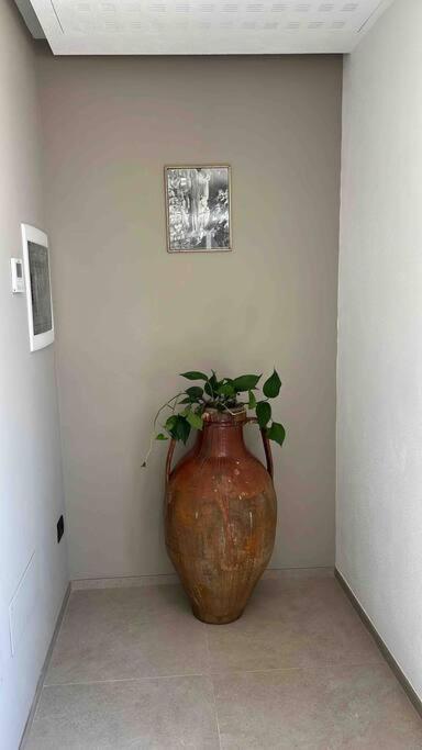 Matarrese 1950 Bed & Breakfast Castellana Grotte Ngoại thất bức ảnh